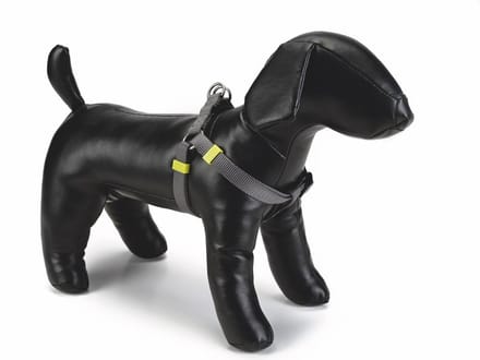 Beeztees nylon borsttuig uni grijs 46-75 cm x 20 mm