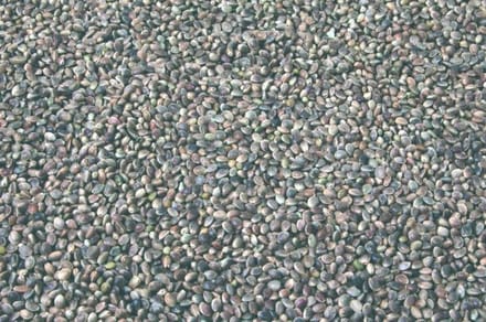 Wielink Kempzaad/Hennepzaad 15 kg