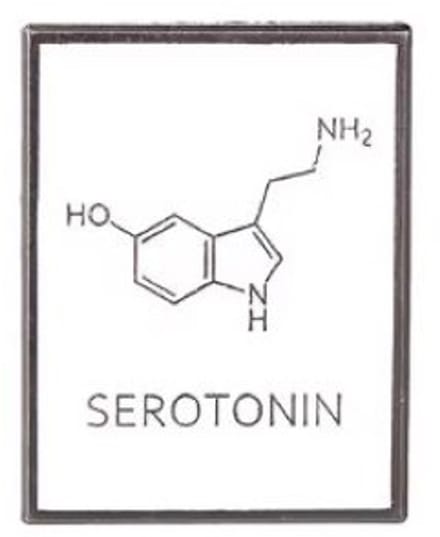 Pin Broche - enamel pin - kledingspeld - Serotonin