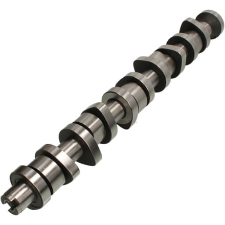 Nokkenas  AE CAM916