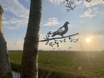 Metalen vogels tuin decoratie - De Duif - Decoratie vogels - Metal bird