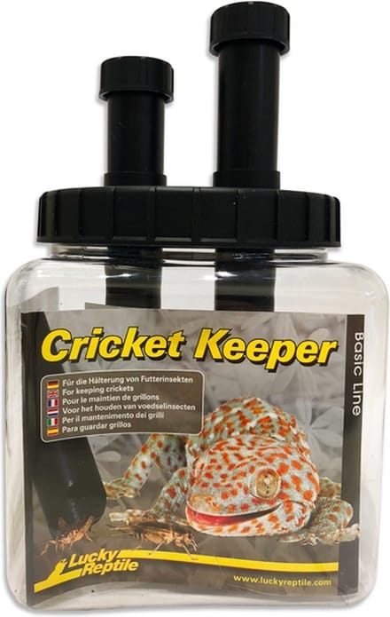 Lucky Reptile Cricket Keeper