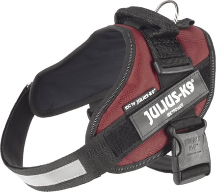 Julius-K9 IDC®Powertuig, M - maat 0, claret bruin