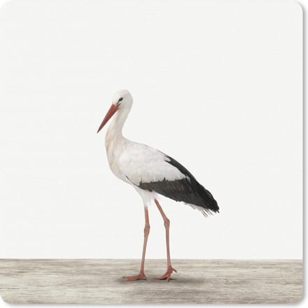 Muismat 20x20 cm - Mousepad Dieren - Ooievaar - Wit - Muismatten