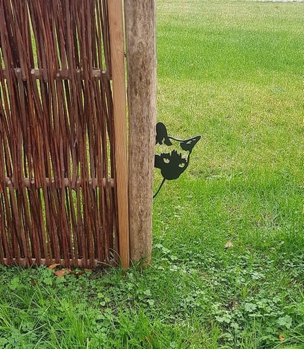 Tuinkunst Kat