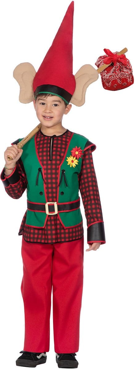 Kabouterjongen Felix Flap Kostuum
