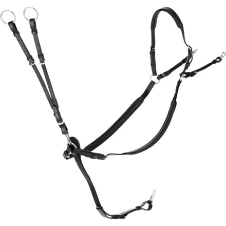 Martingale met ringen Covalliero