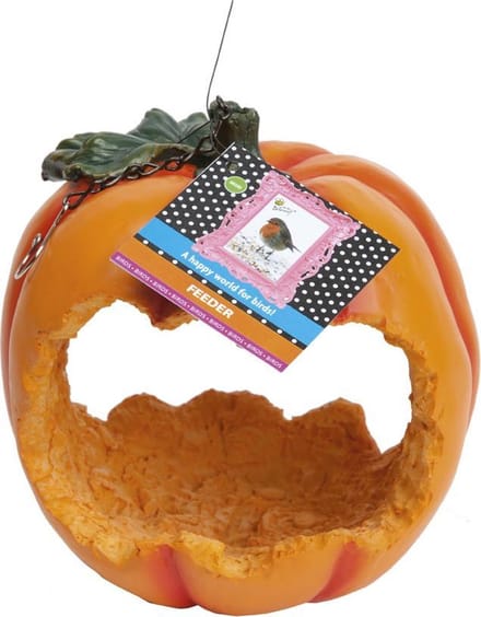 Buzzy Birds Fruit Feeder Pompoen