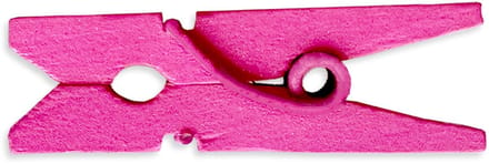 Wasknijpers 15 Kleuren 100 Per Pack 1 "2.5cm (Hot Pink)