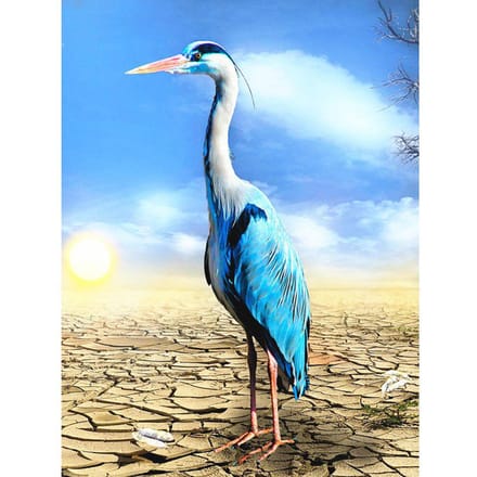 5D bricolage diamant peinture animaux diamant broderie 20X30CM white