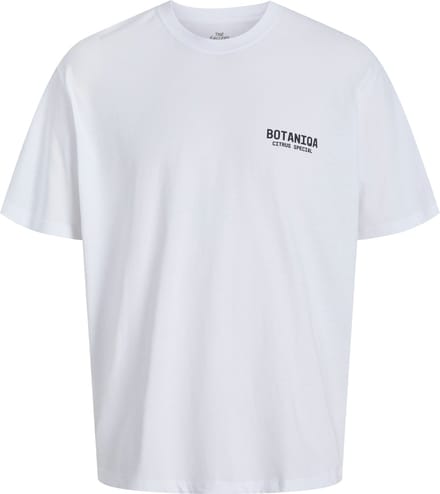 JACK&JONES - JORBOTANIQ TEE SS CREW NECK TG PLS - Heren - T-shirts