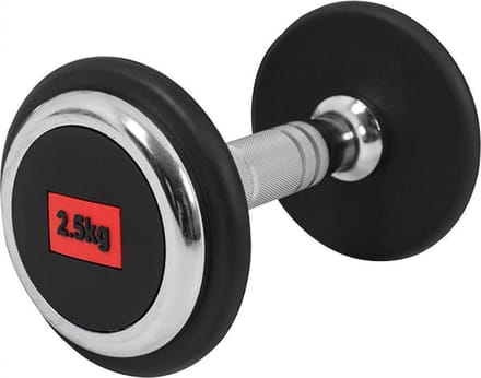 Gorilla Sports Professionele Dumbbell 2,5 kg - Rubber - Gietijzer
