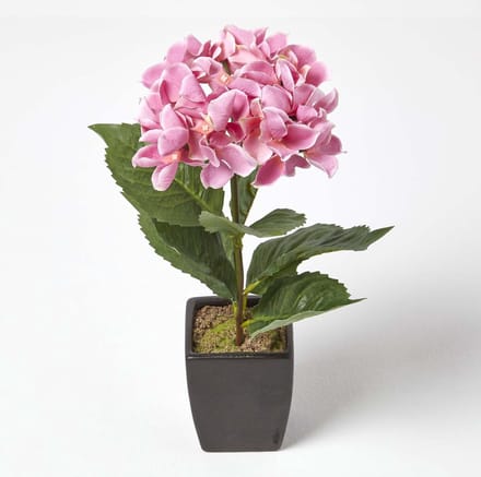 Homescapes Kunsthortensia's in zwarte pot, roze