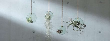 L.S.A. - Canopy Plantenhanger ø 12 cm - Gerecycled Glas - Transparant -