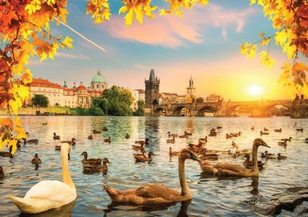 Magnolia puzzel Swans near Charles Bridge - 1000 stukjes legpuzzel.
