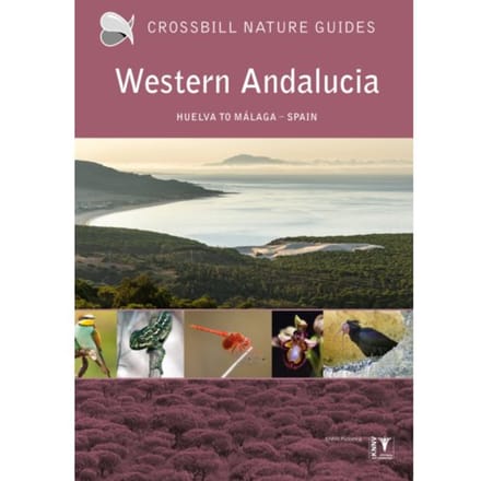 Western Andalucia - Crossbill Guides - Dirk Hilbers