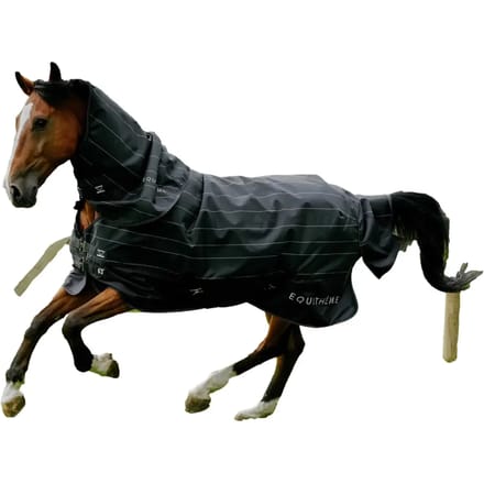 Outdoor paardendeken Equithème Tyrex Lumin 600D 0g