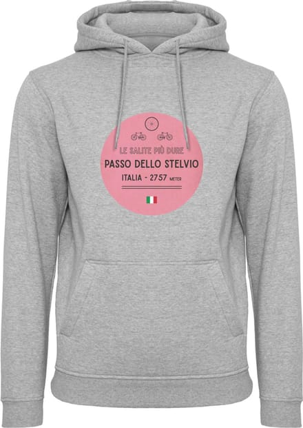 Wieler hoodie Passo Dello Stelvio