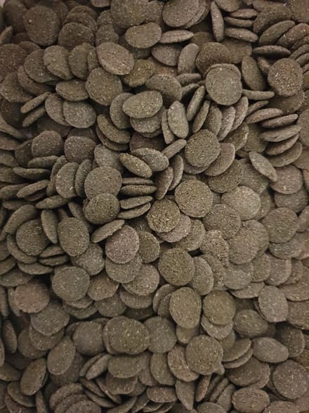 Algen wafels 80 gram