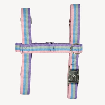 Regenboog - Tuigje / Harnas Hond - S