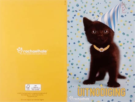 Uitnodigingskaarten - Kitten met feesthoedje - 6st.