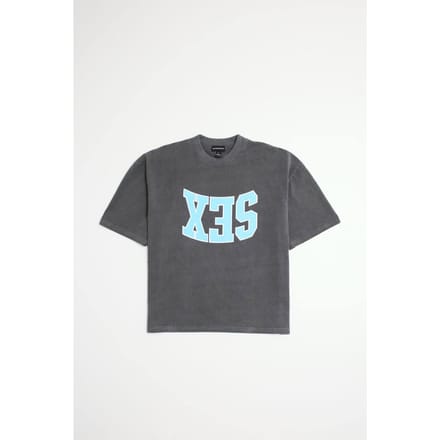 Oversized Boxy Heavyweight Gewassen Sex Slogan T-shirt | Grey | Size Medium