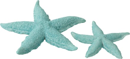 J-Line decoratie Zeester - polyresin - azuur - large