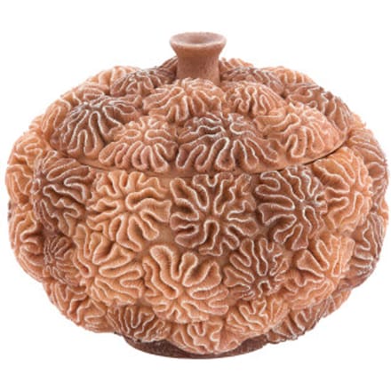 Light & Living - Deco box+deksel CORAL - Ø20x15.5cm - Bruin