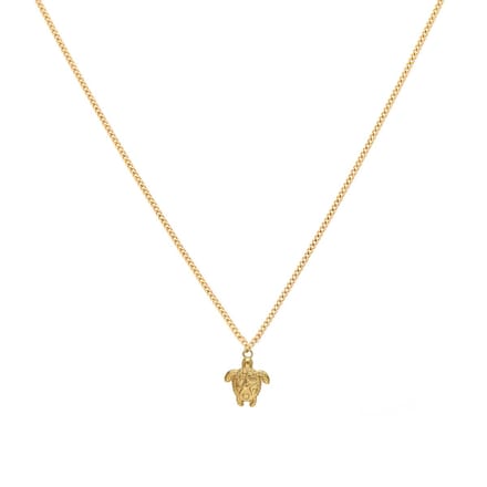 Gouden ketting met schildpad