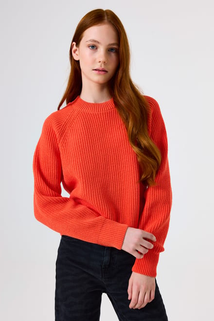 Gebreide pullover met ronde hals en labeldetail