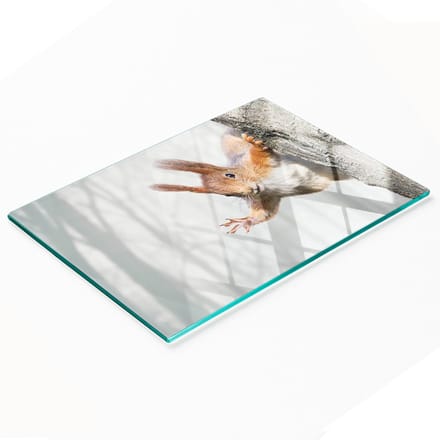 Decoratieve glazen snijplank met eekhoornafbeelding, 80x52 cm