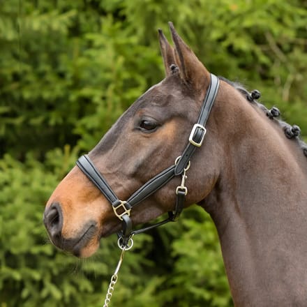 Leren halster voor paarden Kieffer Ultrasoft®