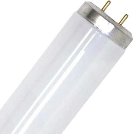 SPL T12 Insectenlamp | 20W 590mm