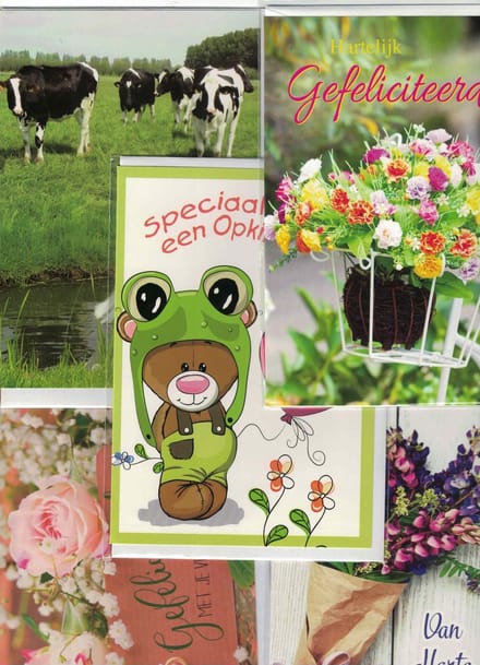 20 wenskaarten - assortiment - every day - gefeliciteerd - blanco - beterschap - opkikkertje - 20 stuks - bloemen -