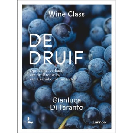De Druif - Wine Class - Gianluca Di Taranto