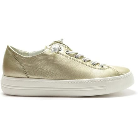 Paul Green 4081