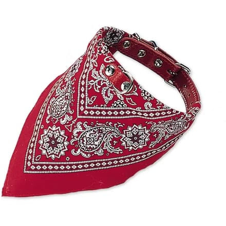 Nobby Leren halsband m/sjaaltje, XS, Rood