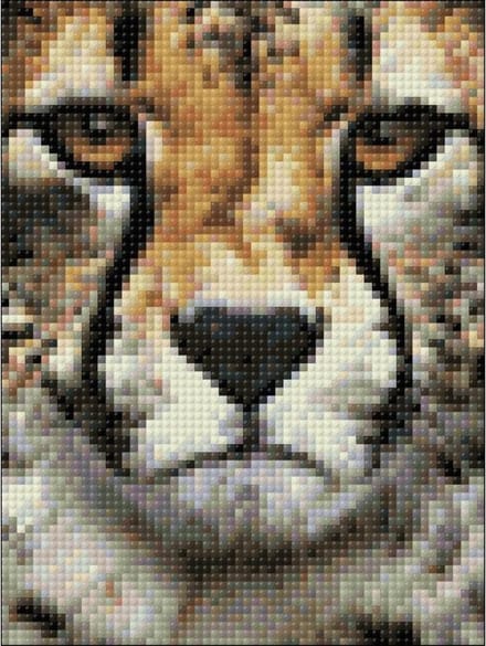Wizardi Diamond Painting Kit Hunter's Look WD285