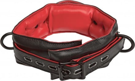Kink Halsband Zwart Rood