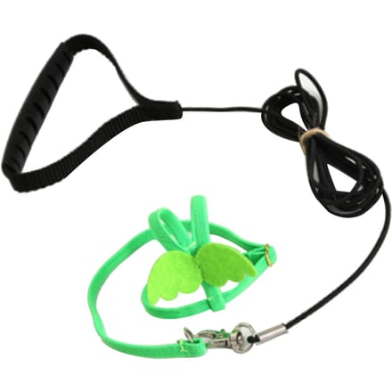 Harnais Laisse pour Oiseau de Compagnie Extensible Harnais de Vol pour Oiseau Corde de Traction pour Conures Perruche Calopsitte Mainate black