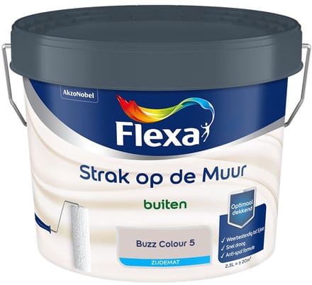 Flexa - Strak Op De Muur Buiten Zijdemat - Buzz Colour 5 - Mengverf - 2,5 L