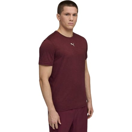 Puma Tad Performance-sport-T-shirt voor heren (Bourgondië)