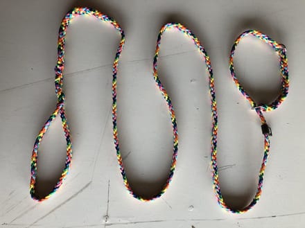 Bianca's Jachtlijn - 200 cm - Medium - Regenboog
