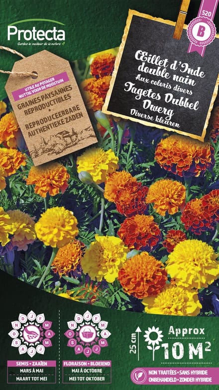 Protecta Bloemen zaden: Tagetes Dubbel Dwerg gemengd | Afrikaantje