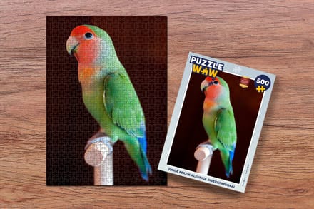 Puzzel Jonge perzik kleurige dwergpapegaai - Legpuzzel - Puzzel 500 stukjes