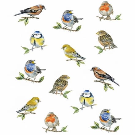 Ambiente Keukendoek Bird Species wit 70x50cm
