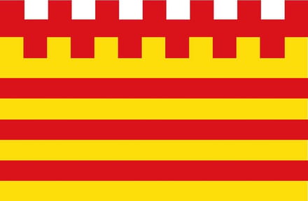 Vlag Pelt 100x150cm