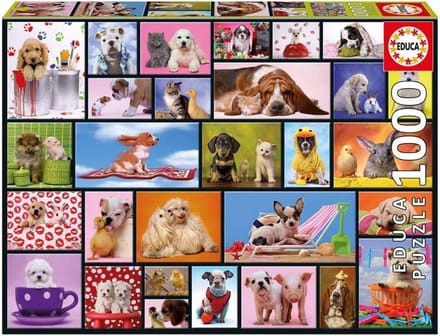 Puzzel Shared Moments - 1000 Stukjes