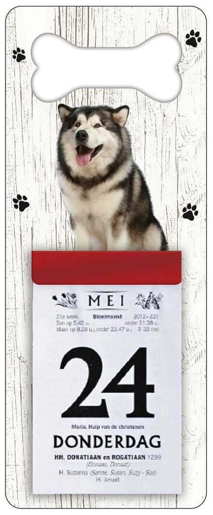 Scheurkalender 2027 Hond: Alaska Malamute