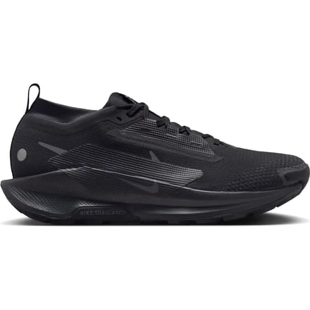 Trail schoenen Nike Pegasus 5 Gore-Tex